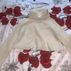 Cropped Turtle Neck Sweater